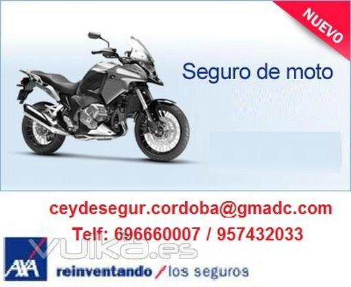 Seguro Moto