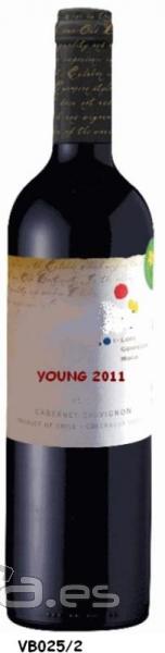  CHILE RED WINE TYPE OF WINE: Red wine from Colchagua Valley (Chile) CEPAGE: Cabernet Sauvignon 100%