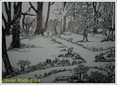 Naturaleza en blanco y negro. dibujo a rotulador. autor: olivier rodriguez.
