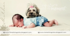 Torres fotografos - foto 11
