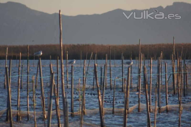 Albufera de Valencia