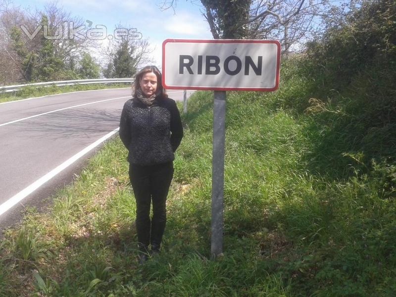 VIEDOS Y BODEGAS RIBON, S.L