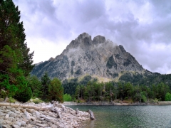 Hotel les brases - foto 10
