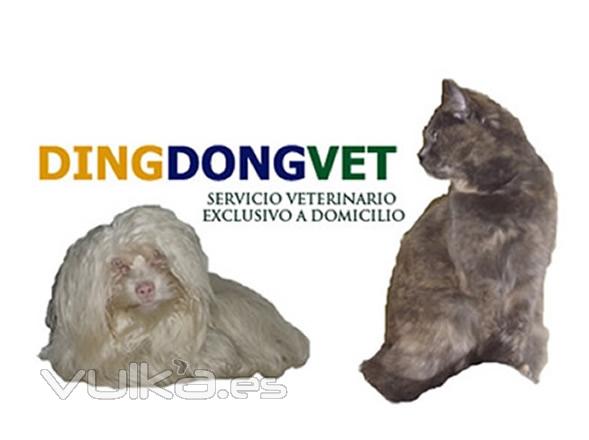 veterinario a domicilio en Madrid