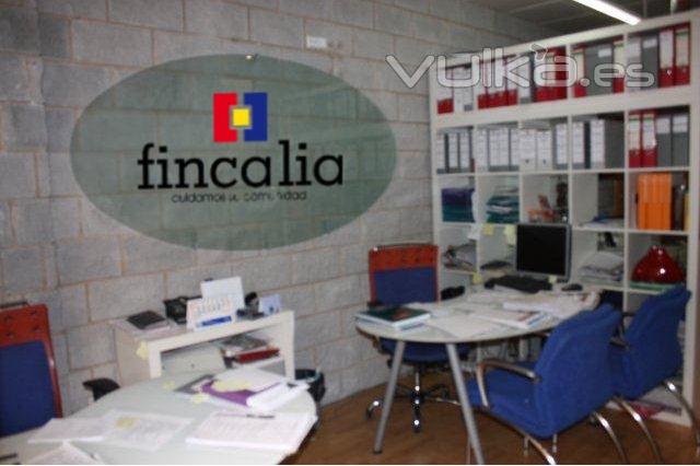 Oficina Fincalia atencin al pblico