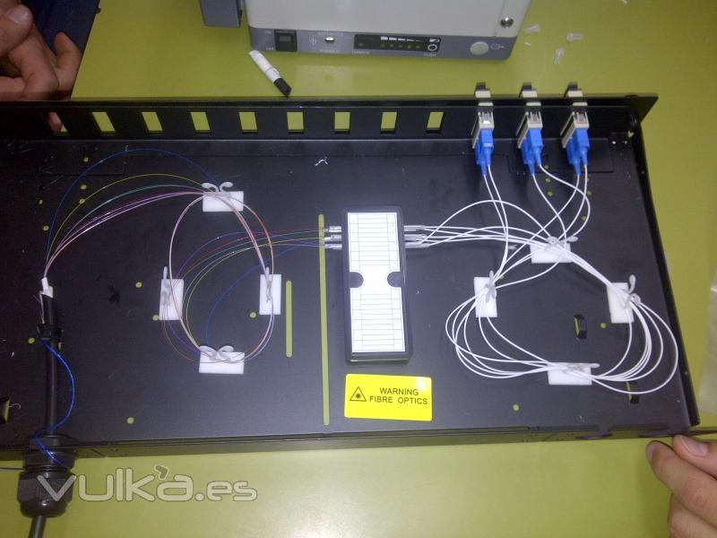 Bandeja con 6 Hilos de Fibra