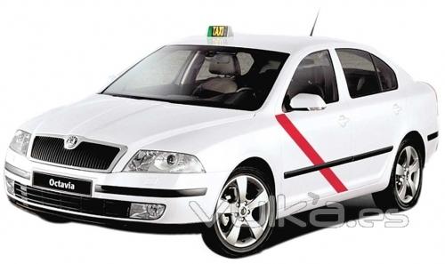 flota de taxis modelos: skoda octavia-super b 2012, seat altea xl, passat,...