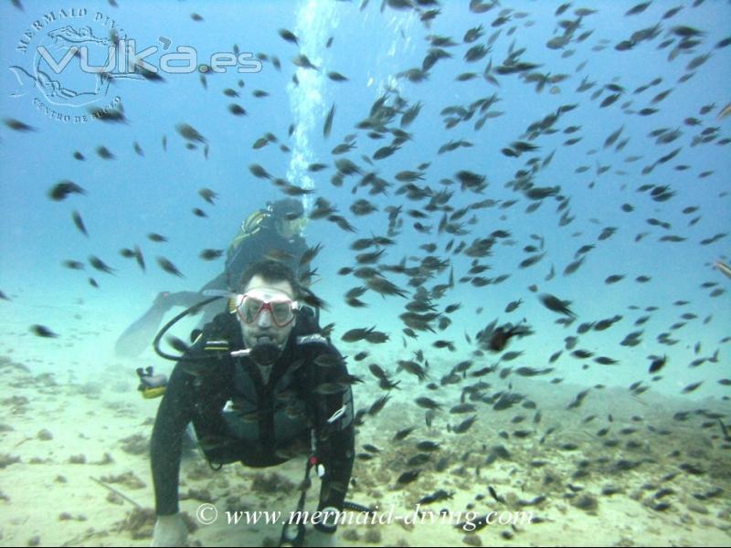 MERMAID DIVING MORAIRA - CENTRO DE BUCEO