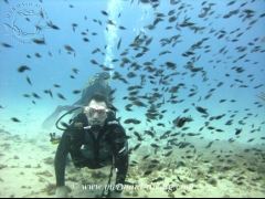 Mermaid diving moraira - centro de buceo - foto 13