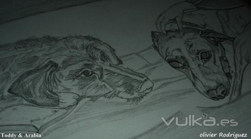 Retrato de perritos. Dibujo carboncillo. Autor: Olivier Rodriguez.