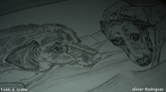 Retrato de perritos dibujo carboncillo autor: olivier rodriguez