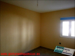 Pintura plastica mate, techo blanco y paredes color vb119