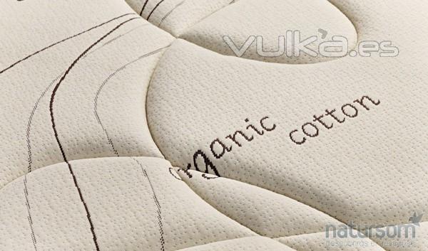 Organic cotton