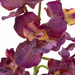 Plantas artificiales con flores. planta orquidea artificial vanda malva 33 en la llimona home (1)