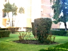 Reconstruccion y mantenimiento