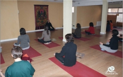 Centro de yoga vasudeva