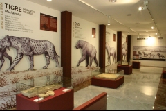 Diseno y montaje exposicion museo etnologico jumilla