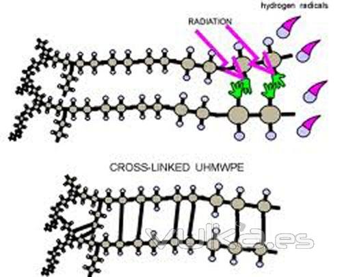 cross linking en lasik