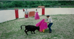 Capea en finca los nogales