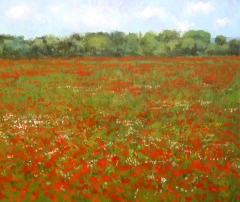 Campo de amapolas, oleo