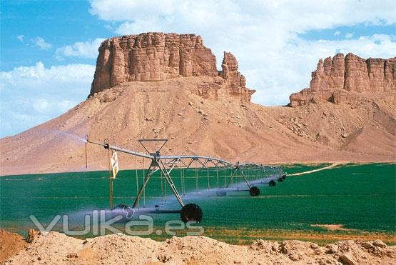 desierto en vergel ( la importancia del agua)