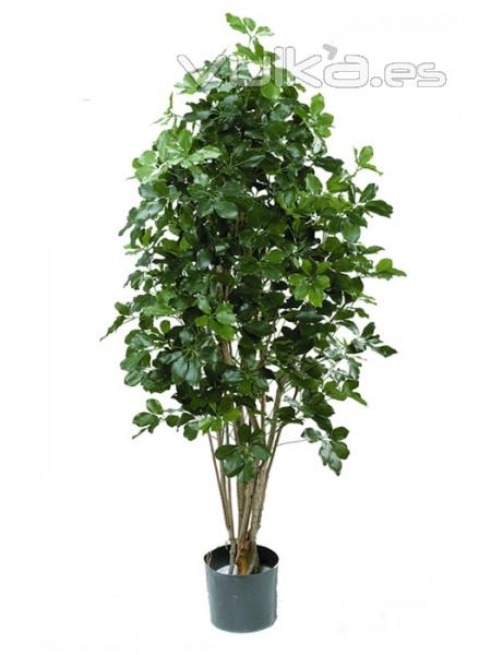 Plantas artificiales de calidad. Schefflera exotica artificial oasisdecor.com