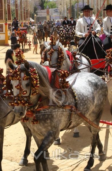 Feria del Caballo 2012 - Jerez