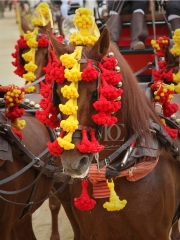 Feria del caballo 2012 - jerez