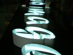 Letras corporeas