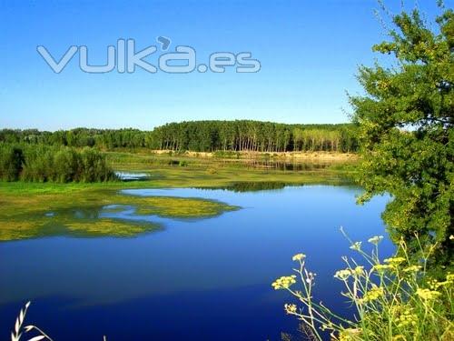 Sotos del ebro en castejon y en alfaro