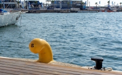 Alrededores del hotel: muelle