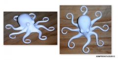 Pulpo abs