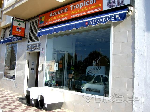 Una de nuestras tiendas fsicas Acuario Tropical