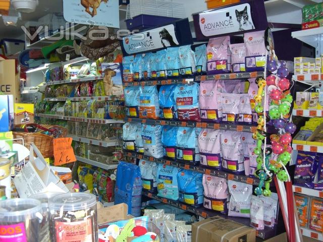 Lineales con nuestros productos en tienda