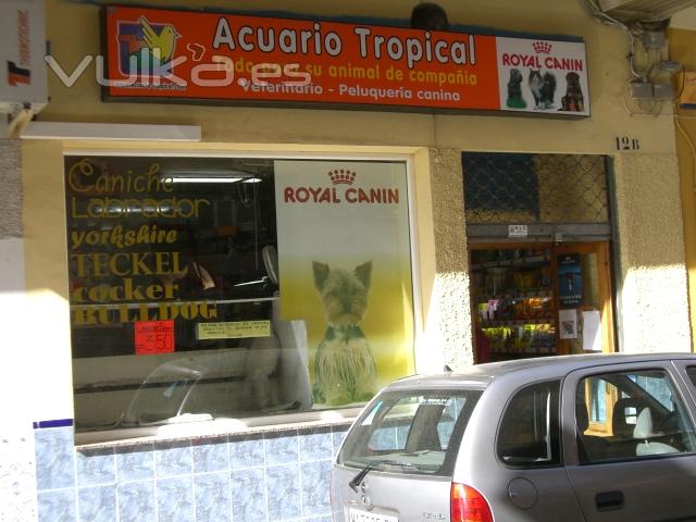 Tienda de Torre del Mar