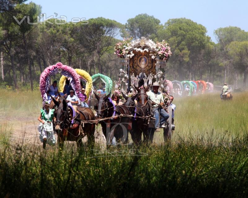 Romería de El Rocío. Hermandad de Jerez