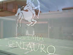 Escaparate con vinilo efecto acido y vinilo plata