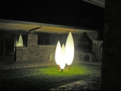 Coelectrica 2000 sl - foto 7