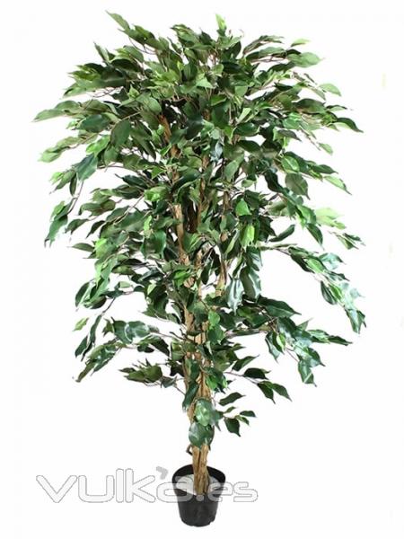 Ficus artificiales economicos. Ficus artificial verde 160 Oasis Decor