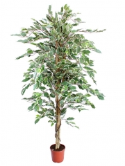 Ficus artificiales economicos. ficus artificial bicolor 160 oasis decor