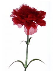 Claveles artificiales economicos clavel artificial rojo gama economica oasis decor