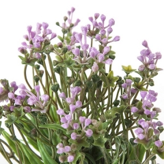 Plantas artificiales con flores planta eucalipto artificial bayas malvas en la llimona home (1)