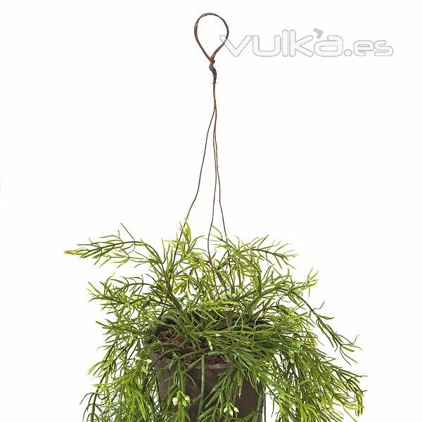 Plantas colgantes artificiales. Planta artificial colgante springeri en La Llimona home (1)