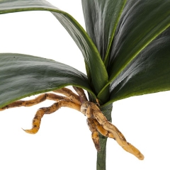 Plantas artificiales. rama hojas orquidea artificial 25 en la llimona home (2)