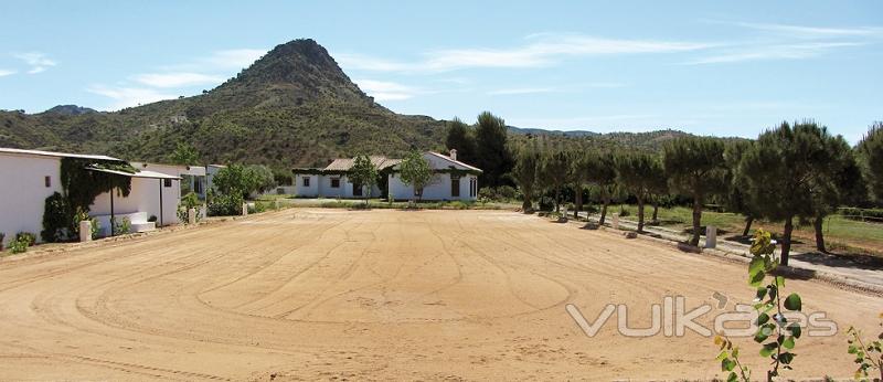 Pista reglamentaria de 60x20 metros