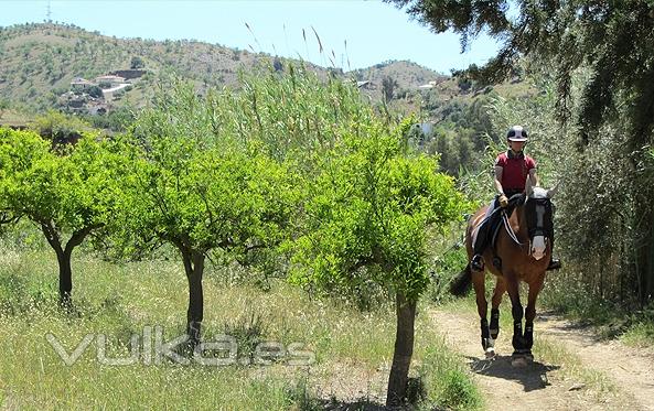 Más de 60.000 metros de entorno natural