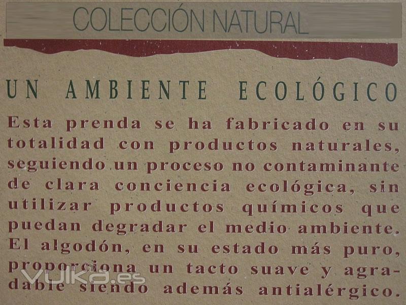 Detalle de la explicacion ,de las sabanas ecologicas 