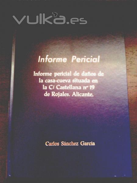 Informe pericial