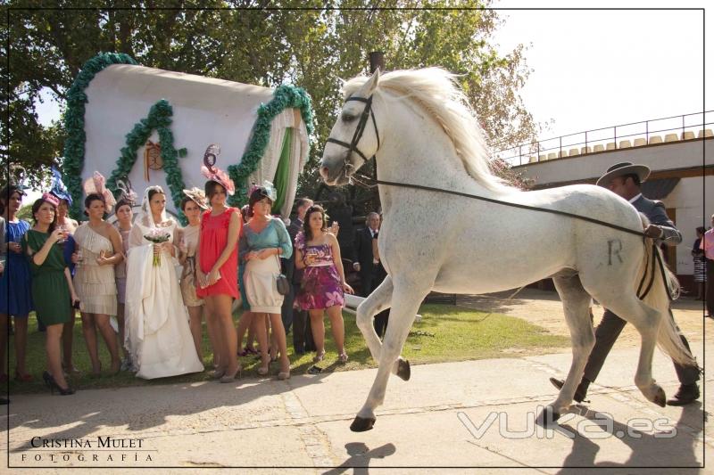 Reportaje Fotogrfico de Boda - Cristina Mulet - Fotografa