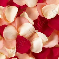 Petalos de rosa